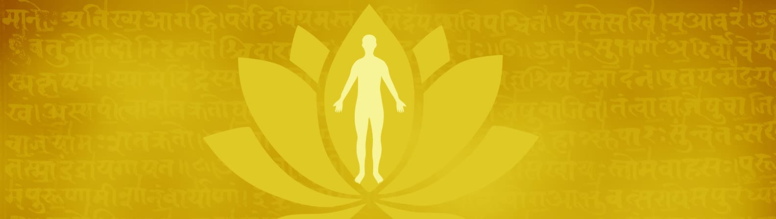 ayurveda-banner_lotus-new